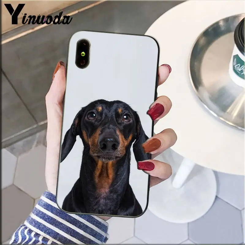 Dachshund Doberman Dog Silhouette