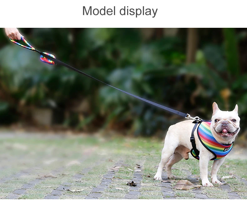 Dog Harness (18)