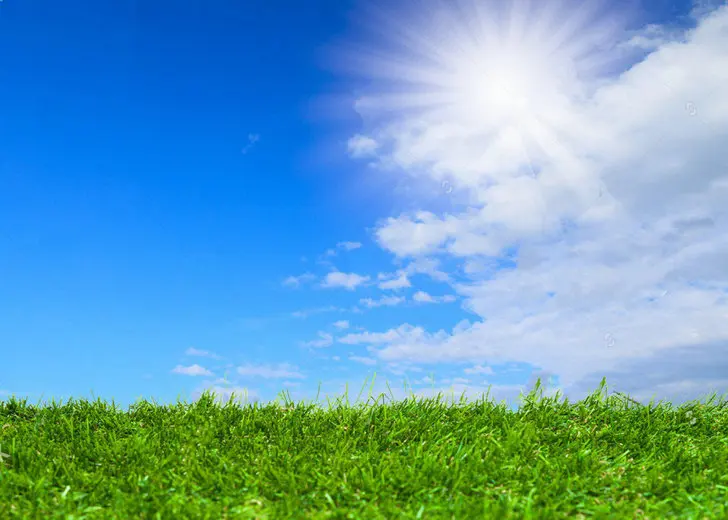 Blue Sky Cloud artificial Fake Faux Green Grass backdrops Vinyl cloth