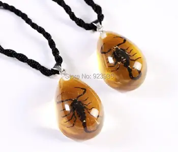 

FREE SHIPPING 10 PCS Real Black Scorpion in Lucite Resin Necklace Pendant,Party Gift,Birthday Present,Unique Gift,Novel Souvenir