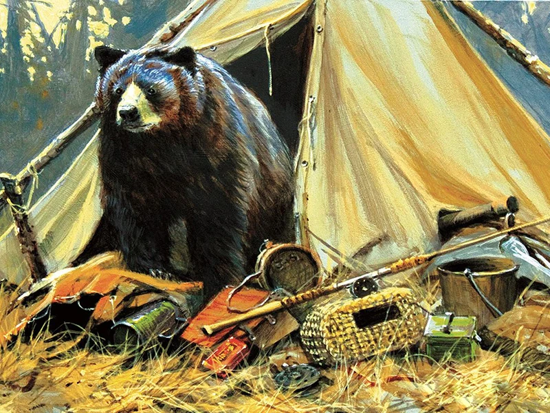 50745elizabethsbearcat