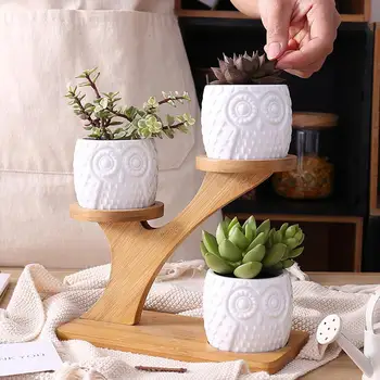 

2019 New Simple White Succulent Plant Flower Pot Holder Ceramic Owl Pattern Pot Treetop Shaped Bamboo Shelf Pot Planter Set