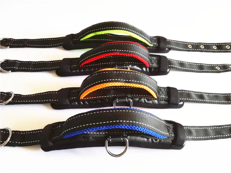 Dog Collar and Leash Set (20)
