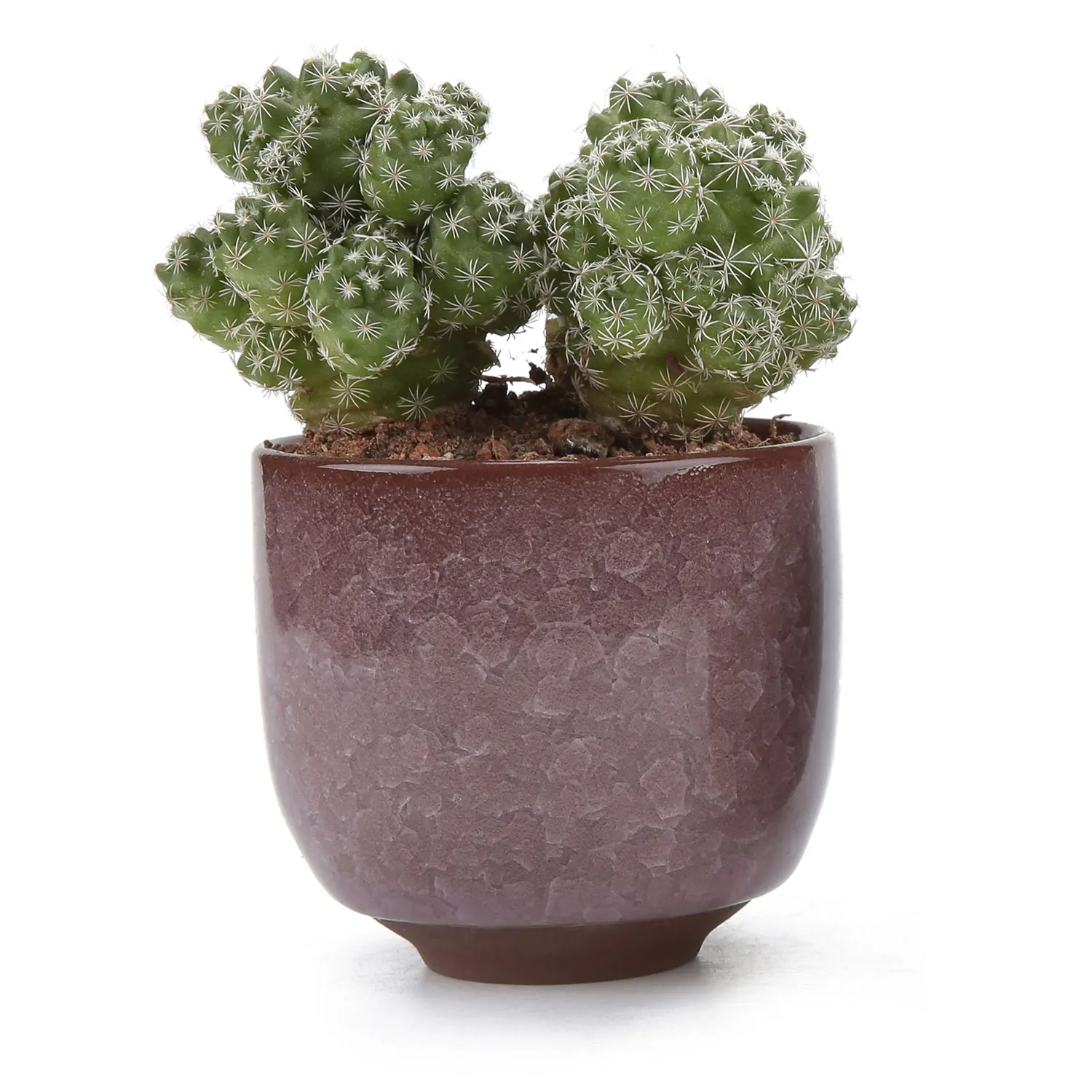 

T4U 2.5 Inch Ceramic Ice Crack Zisha Raised Serial succulent Cactus Plant Pot Flower Pot/Container/Planter Purple