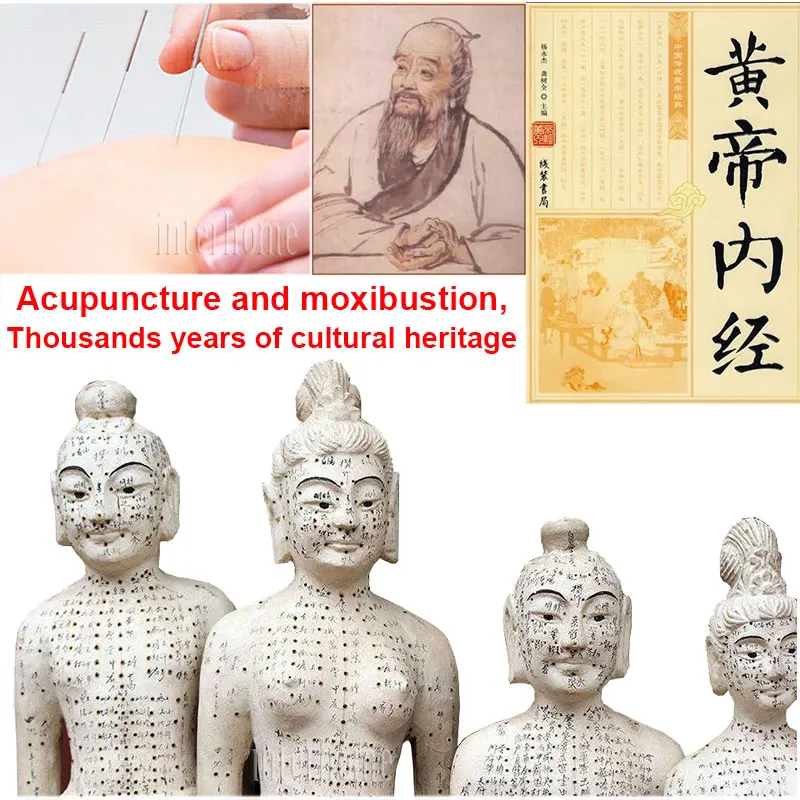 Acupuncture-needles(2)
