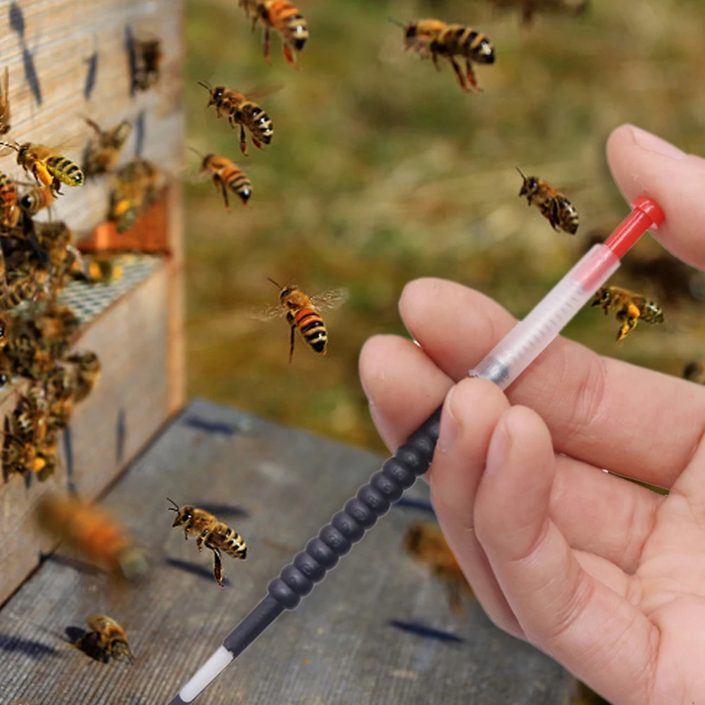2 шт. Новое поступление пчеловодство инструмент для прививки пластик queen пчелиные личинки иглы телескопическое оборудование для разведения поставки apculture