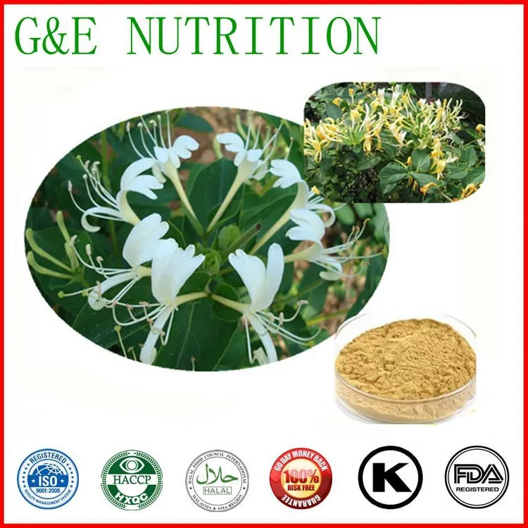 100Natural honeysuckle flower extract Luteolin 98 HPLCin Slimming
