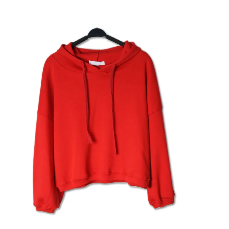 2017 women bts sweatshirt hoodies european style high street basic pure color hooded With velvet pullovers tops | Женская одежда