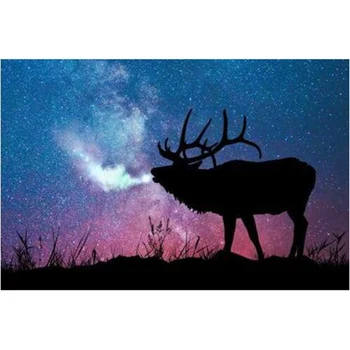 

5d Diamond Embroidery DIY Diamond Embroidery Handicrafts Rhinestones Embroidery Elk Cold Night Diamond Wall Arts Decor DA126