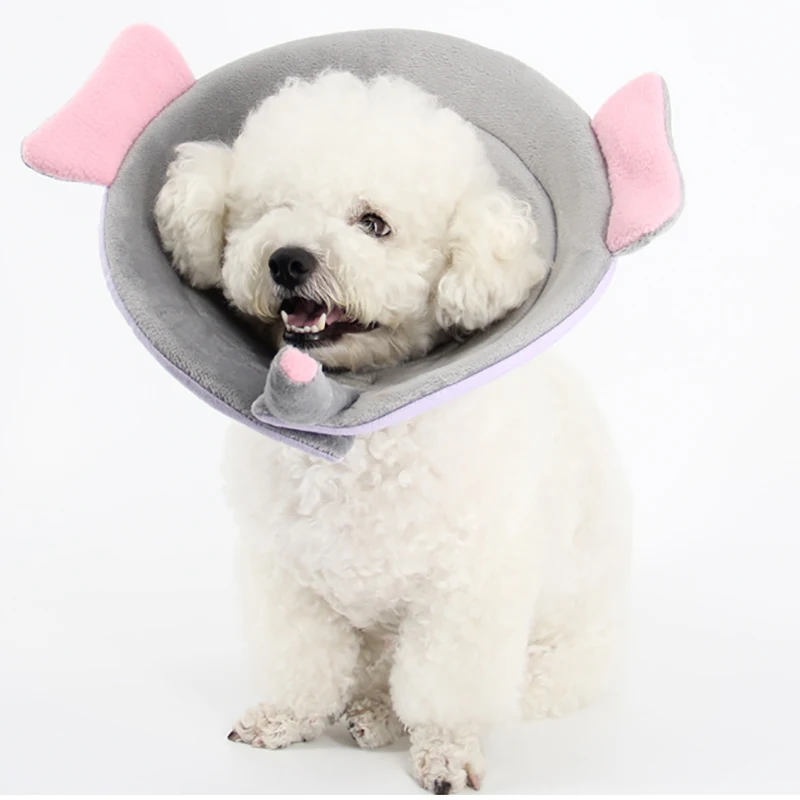 

Pet Cat Dog Protection Cover Healthy Supply Anti-bite Wound Healing Cone Protective Pet Dog Medical Collar