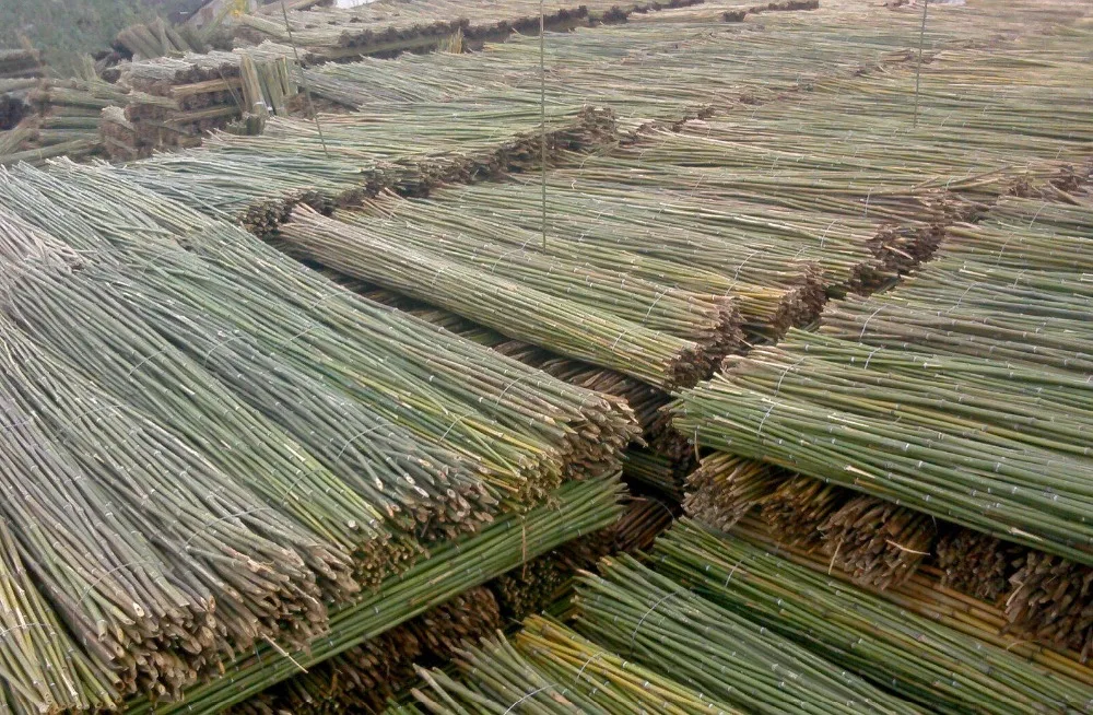 

50cm dia 1cm bamboo stake 5pcs/lot
