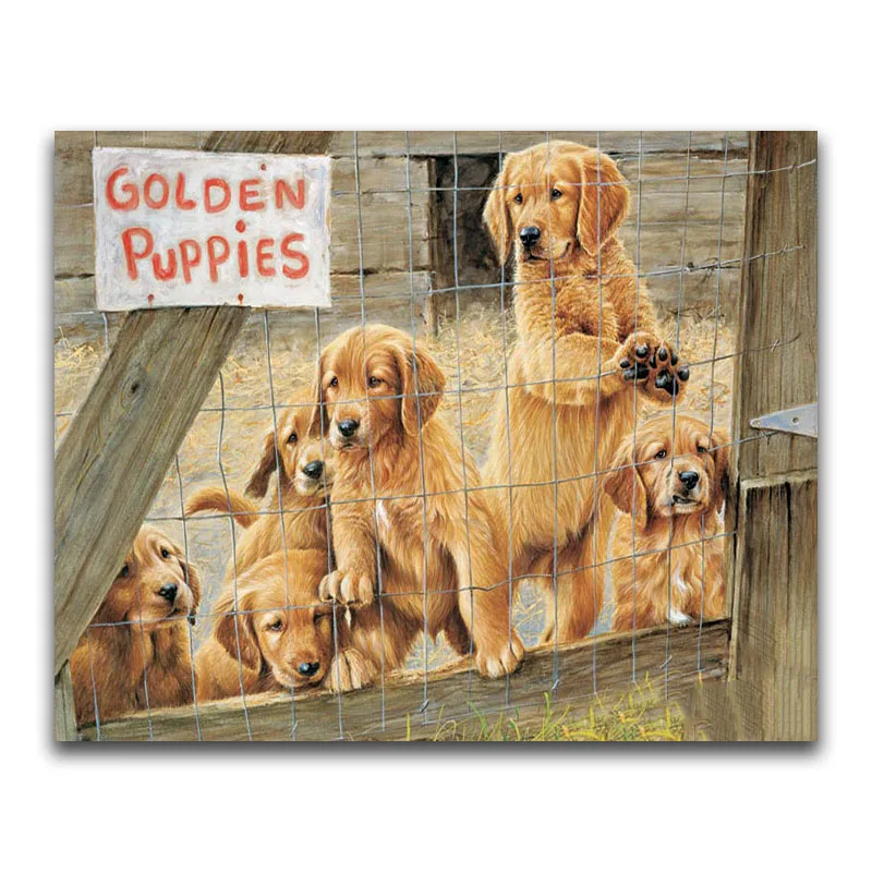 5D DIY Diamond painting Cross stitch Animal Full Square Diamond embroidery dog Full Round Diamond mosaic Golden retriever
