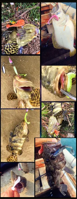 WALK FISH 6szt lot 7cm 9cm woblery połowów przynęty Easy Shiner Swimbait silikonowe miękkie przynęty podwójny kolor CARP sztuczne miękkie przynęty tanie i dobre opinie Rzeka zbiornik staw Ocean Boat Fishing Ocean Rock wędkowanie strumień Ocean Plaża wędkowanie jezioro WFSL015 SPACER RYBY WALK FISH 6szt lot 7cm 9cm woblery połowów przynęty Easy Shiner Swimbait silikonowe miękkie przynęty podwójny kolor CARP sztuczne miękkie przynęty tanie i dobre opinie Rzeka zbiornik staw Ocean Boat Fishing Ocean Rock wędkowanie strumień Ocean Plaża wędkowanie jezioro WFSL015 SPACER RYBY