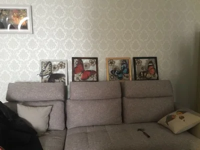TB2JSOoa80kpuFjSsppXXcGTXXa_!!0-rate.jpg_400x400