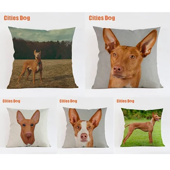 

Pharaoh Hound dog pillow covers decorative cushion covers for sofa Pillows Animal dogs pillowcase cushions cover home decor