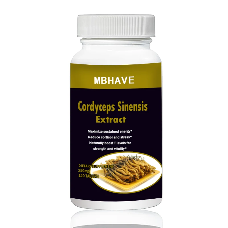 2 bottles CS 4 250PCS Cordyceps Sinensis extract Mushroom Extract