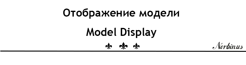 model display