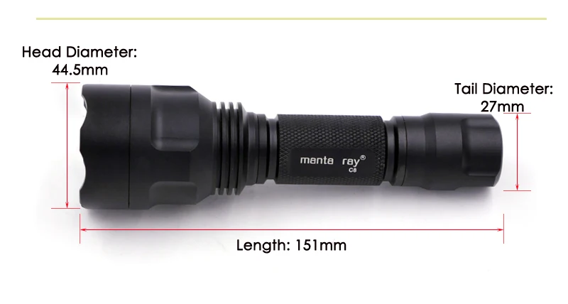 Manta ray c8 (5)