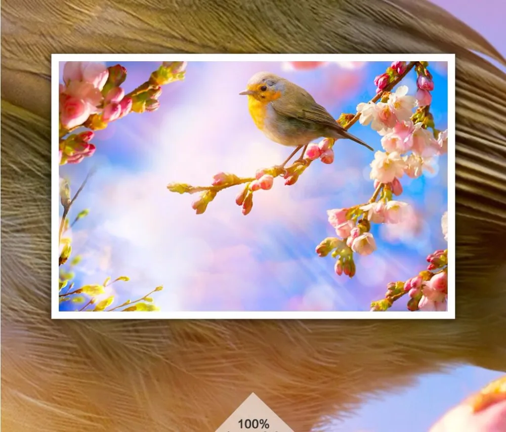QQ20170914152653