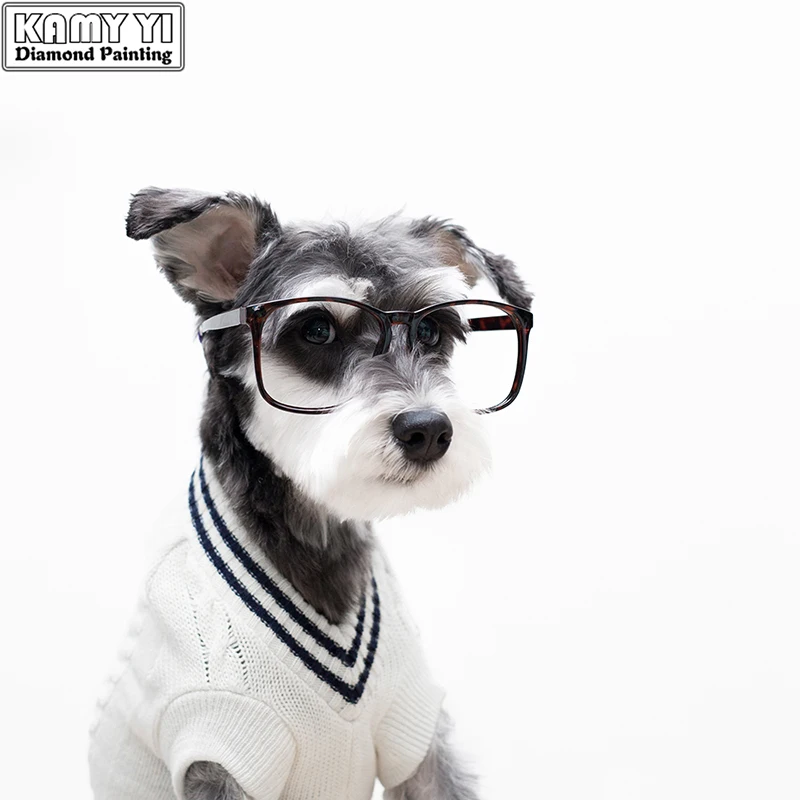 RemixTheDog-PRESS 