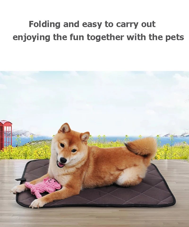 9090188815_1561530757