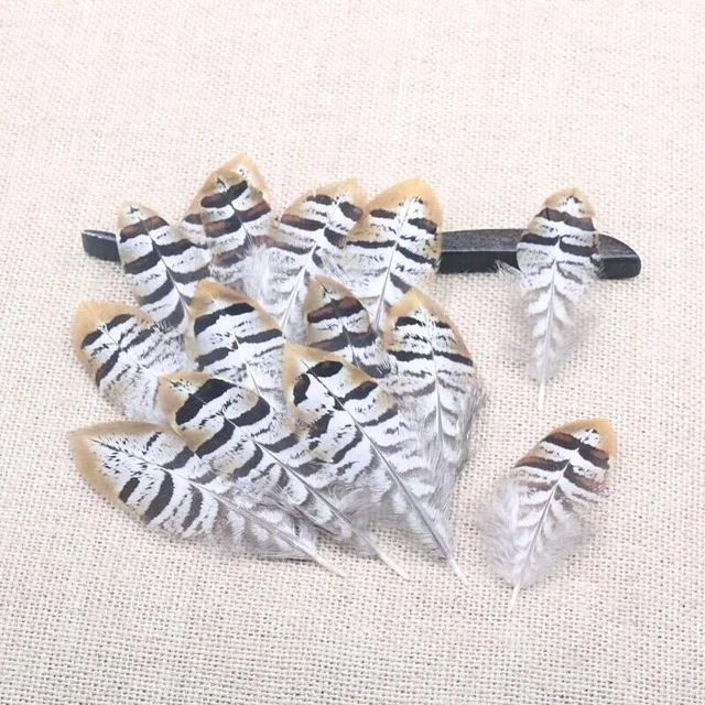 

10pcs a pack Beautiful Pheasant Feather Jewelry earring costumes Hat wedding Decorative feather materials 2.7 - 4.3inch