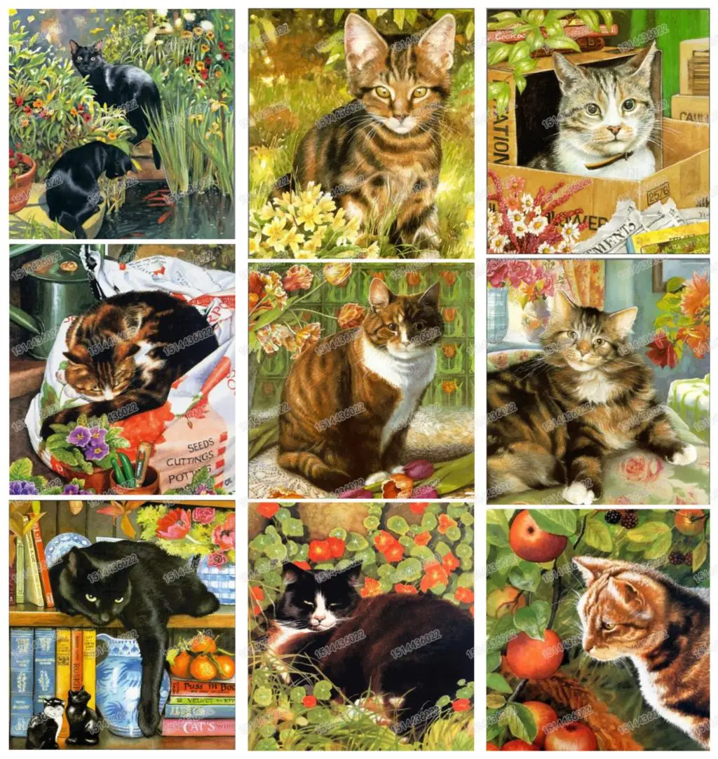 

5D Diy Diamond Painting Animal Cat Cross Stitch Diamond Embroidery Full circular Diamonds Mosaic Pictures Of Rhinestones
