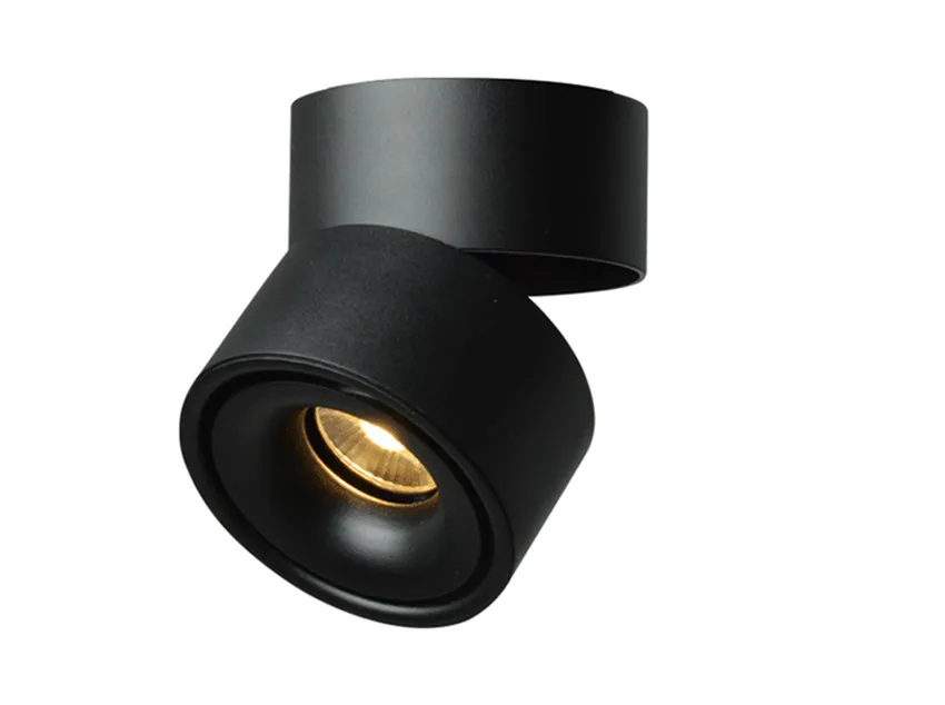 NR-54 Ceiling light  (13)