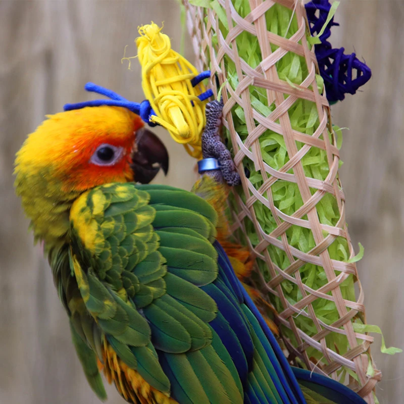 Creative Bamboo Pet Bird Parrot Swing Cage Toy Foraging Toys Chew Bites for Parakeet Cockatiel