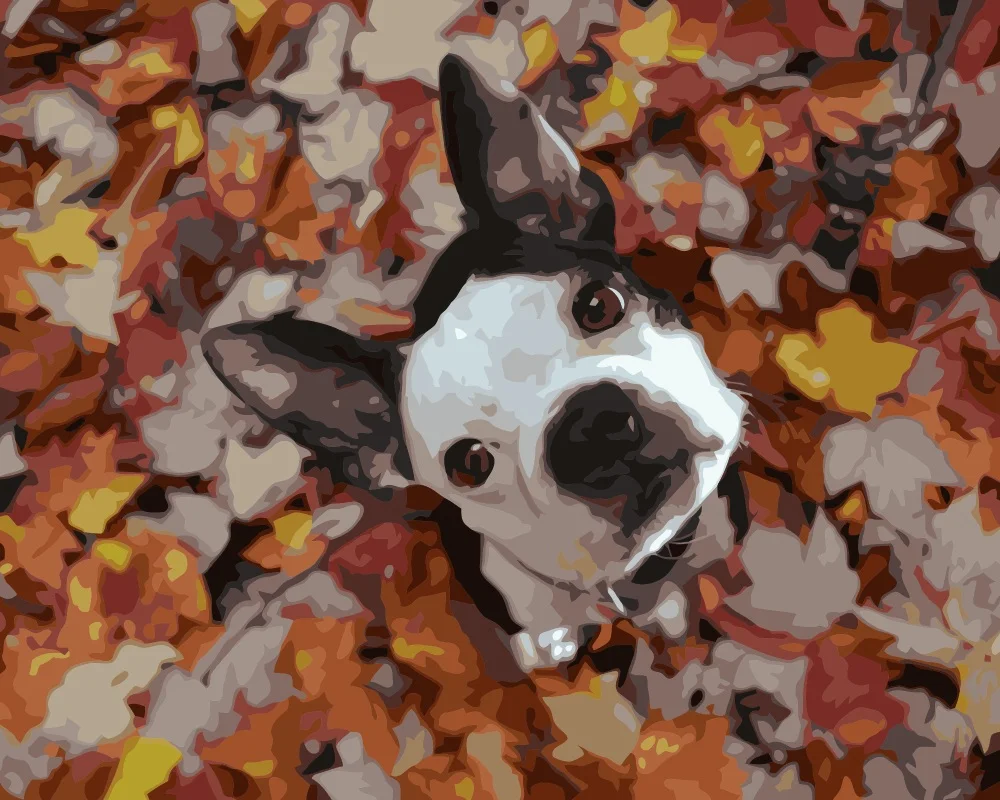 

MaHuaf-i623 cute dog on the maple leaves DIY painting by Numbers animal Hand-painted canvas digital oil paintings for home decor