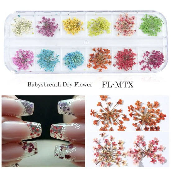 Сухоцветы лист ногтей украшения натуральный наклейка в виде цветка 3D сухой для маникюра ногтей наклейки ювелирные изделия УФ Гель-лак Маникюр TRFL-1 - Цвет: FL-MTX
