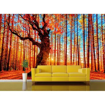 

Home decor Wall Papers 3D Nature Birch Tree Forest Sunshine Photo Wallpaper Mural Living Room Self Adhesive Vinyl/Silk Wallpaper