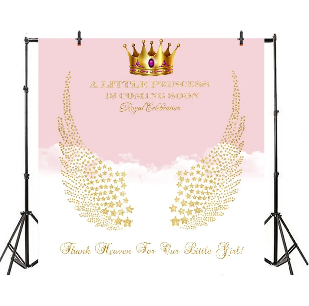 Laeacco Pink Baby Shower Backdrops For Photography A Little Princess Is Coming Soon Angel Wing Backgrounds Photocall Photo Stuio