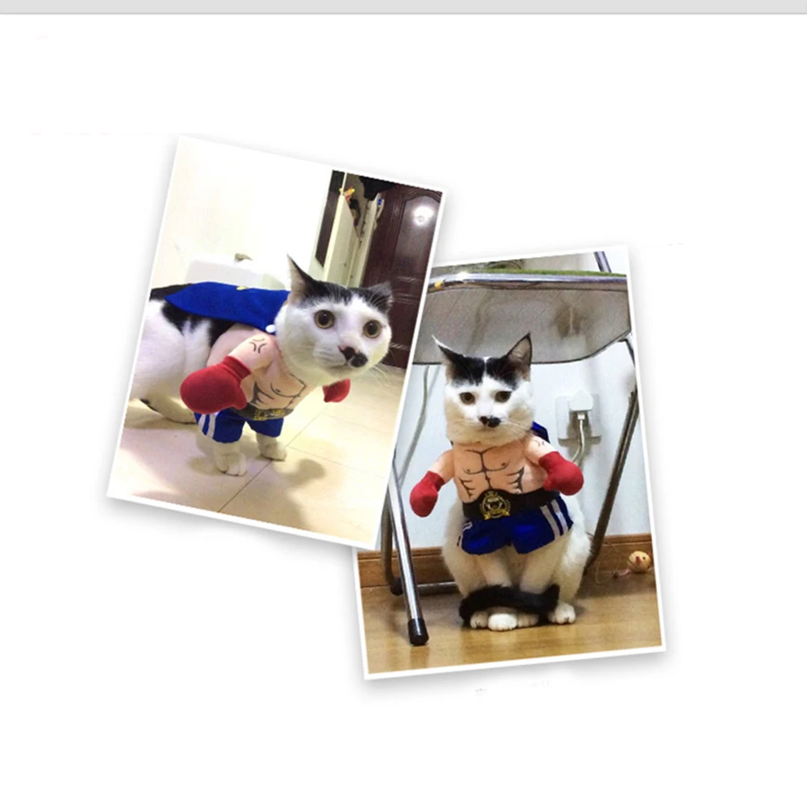 Pet Supplies Dog Cats Spring Summer Cat Wear T Shirt Parka Blouse Roupa