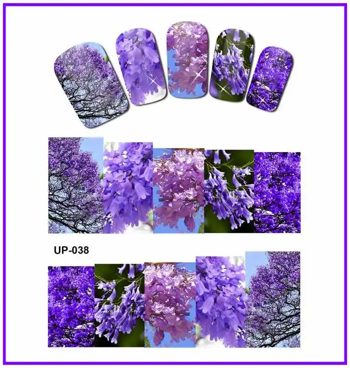 UP-038