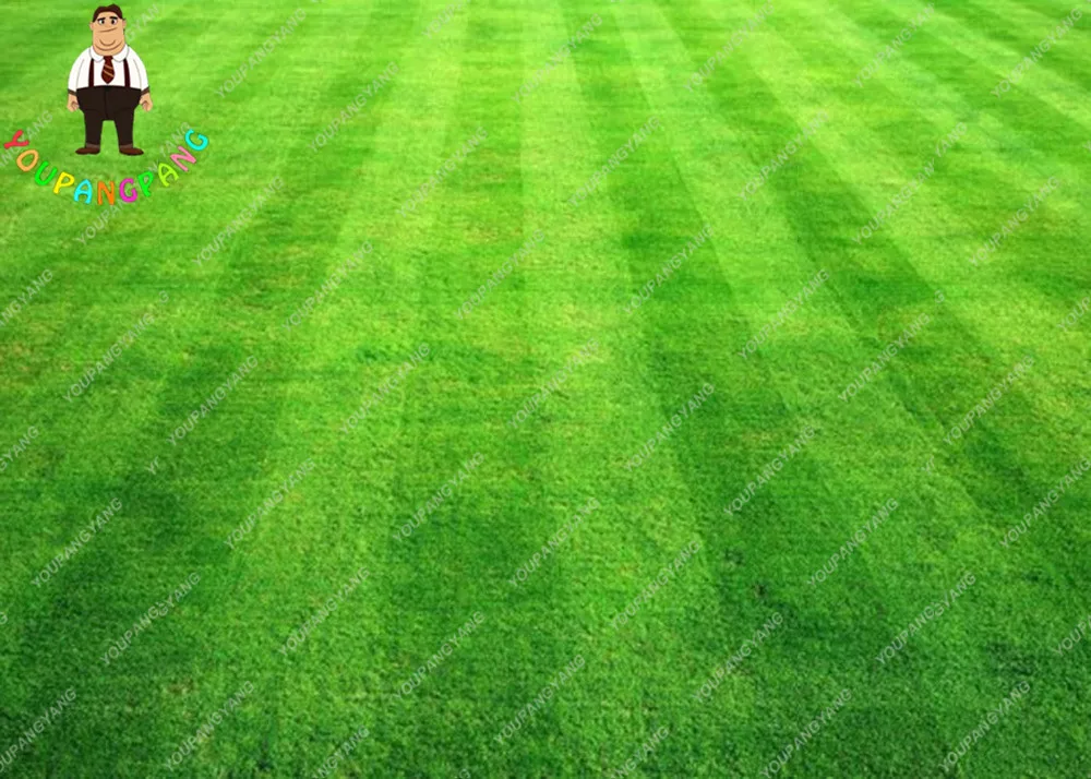 Image 500pcs Bag Turf Grass Seeds,Golf Special Grade Evergreen Lawn Seeds,Soccer Fields,Villa,High Grade Flowers Seeds Garden Plant