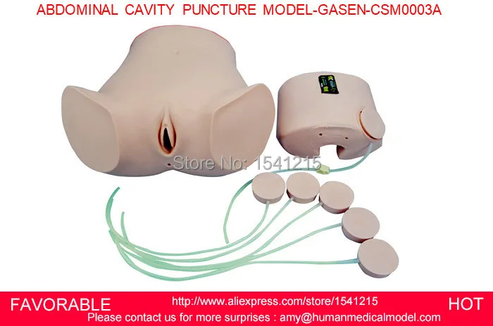 

NURSING TRAINING MANIKIN MEDICAL SIMULATION MODELS MEDICAL TRAINING MANIKINS ABDOMINAL CAVITY PUNCTURE MODEL-GASEN-CSM0003A
