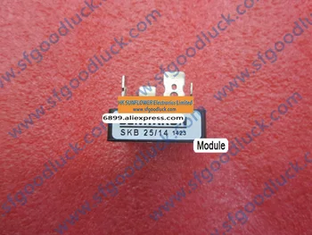 

SKB25/14 Power Bridge Rectifier Module 1400V 17A Case G10 weight:24g