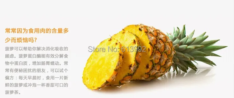 519B