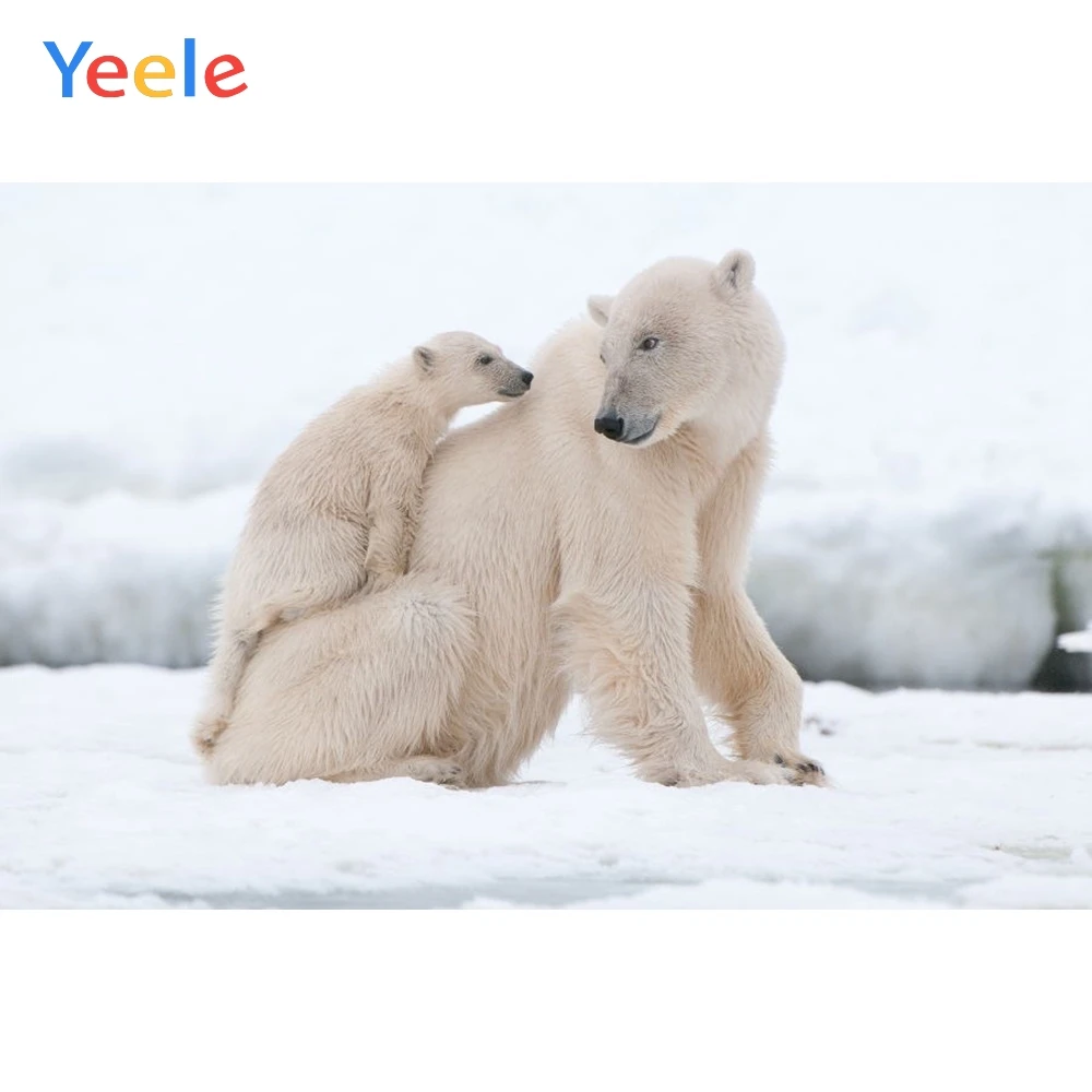 

Yeele Vinyl Polar Bears Snow Children Birthday Party Photography Background Animals Baby Photographic Backdrop Photo Studio