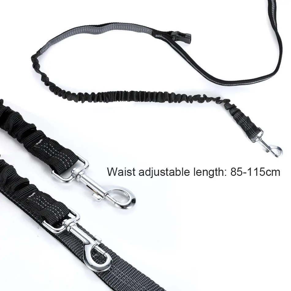 dog waist belt leash
