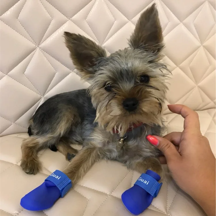 HTB1A3R3RVXXXXbNXVXXq6xXFXXXn