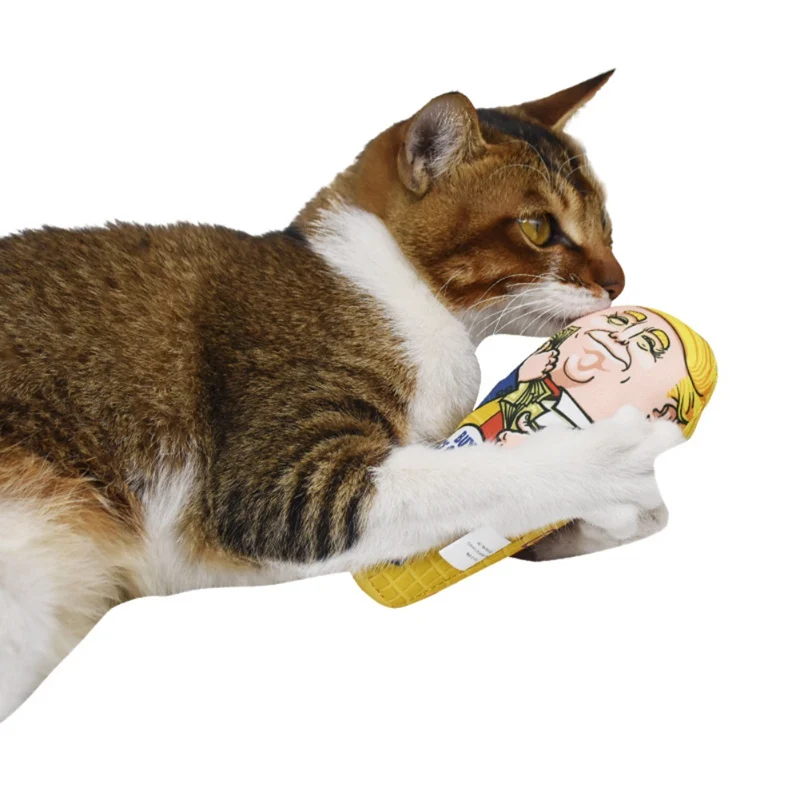

Cat Pillow Toy with Catnip for Appeasing Simulated Squeaky Tease Cats Scratch-resistant Toy
