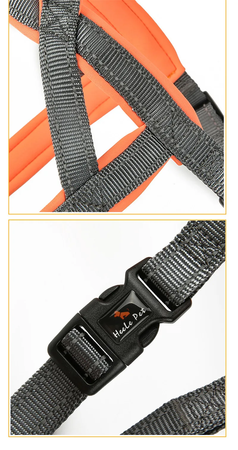 dog harness no pull (10)