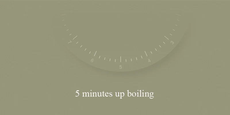Xiaomi kettle 2