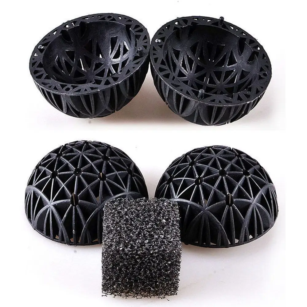 6F1537154825_BCDB3B80-10
