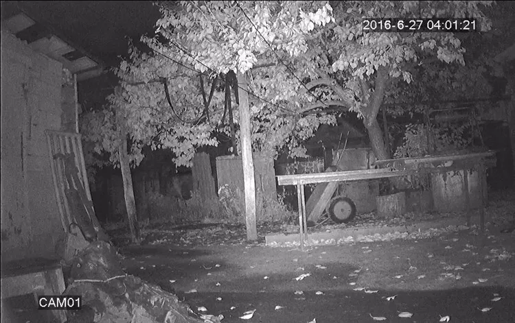 1080P AR0230 effective picture 01