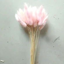 Натуральный кроличий хвост трава бытовой сушеный цветок гостиная вечерние праздничные украшения вечерние принадлежности 30 шт