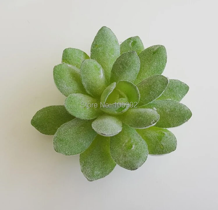 QQ20150907235618.jpg