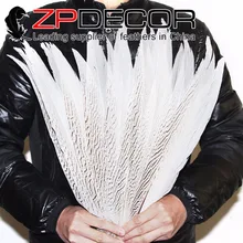 Заводские розетки zpdecor 18-20 дюймов(45-50 см) 50 шт./лот ручной работы белое серебро перо из хвоста фазана для вечернего шоу